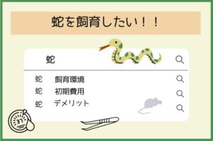 コーンスネークの飼育環境や初期費用を調べるイメージイラスト