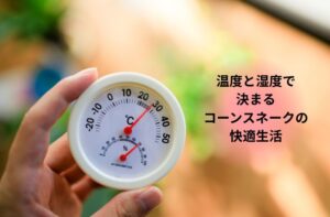 コーンスネークの飼育に必要な温度と湿度の目安を伝える温湿度計の画像