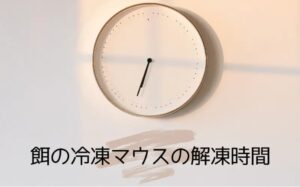 冷凍マウスの解凍時間の目安を表した時計の画像