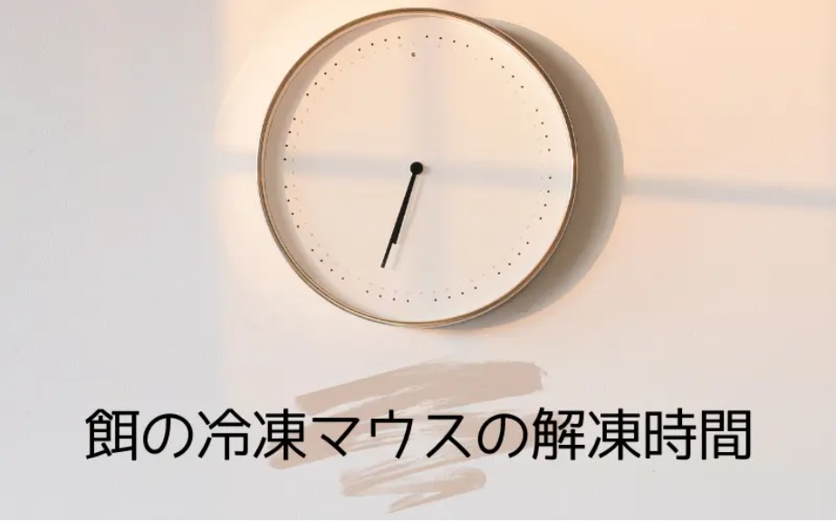 冷凍マウスの解凍時間の目安を表した時計の画像