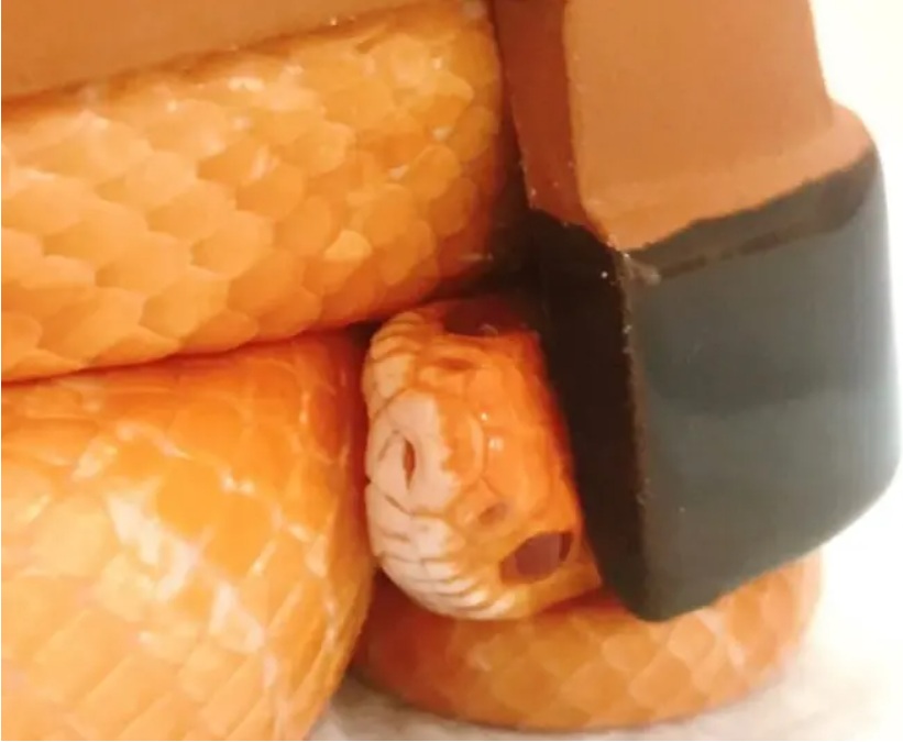 飼育しているコーンスネークのシン