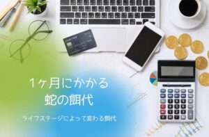 コーンスネークの1ヶ月の餌代や家計管理をイメージした計算機とコインの写真