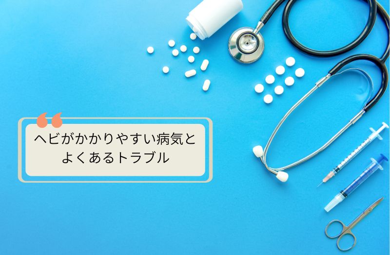 ヘビがかかりやすい病気や体調トラブルをイメージした医療器具の写真