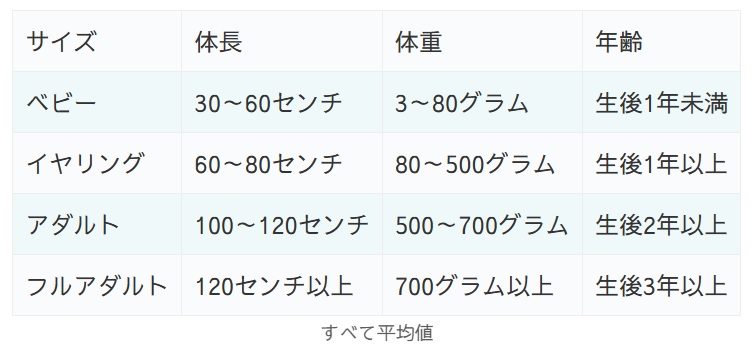 コーンスネークの年齢ごとの体長と体重平均値