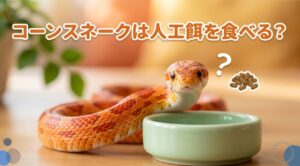 コーンスネークは人工餌を食べる？と首をかしげるコーンスネーク
