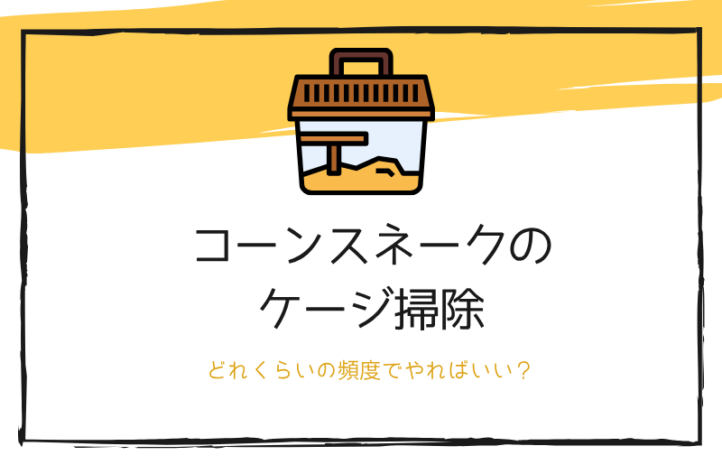 「コーンスネークのケージ掃除 どれくらいの頻度でやればいい？」という文字と飼育ケージのイラストが描かれたアイキャッチ画像。