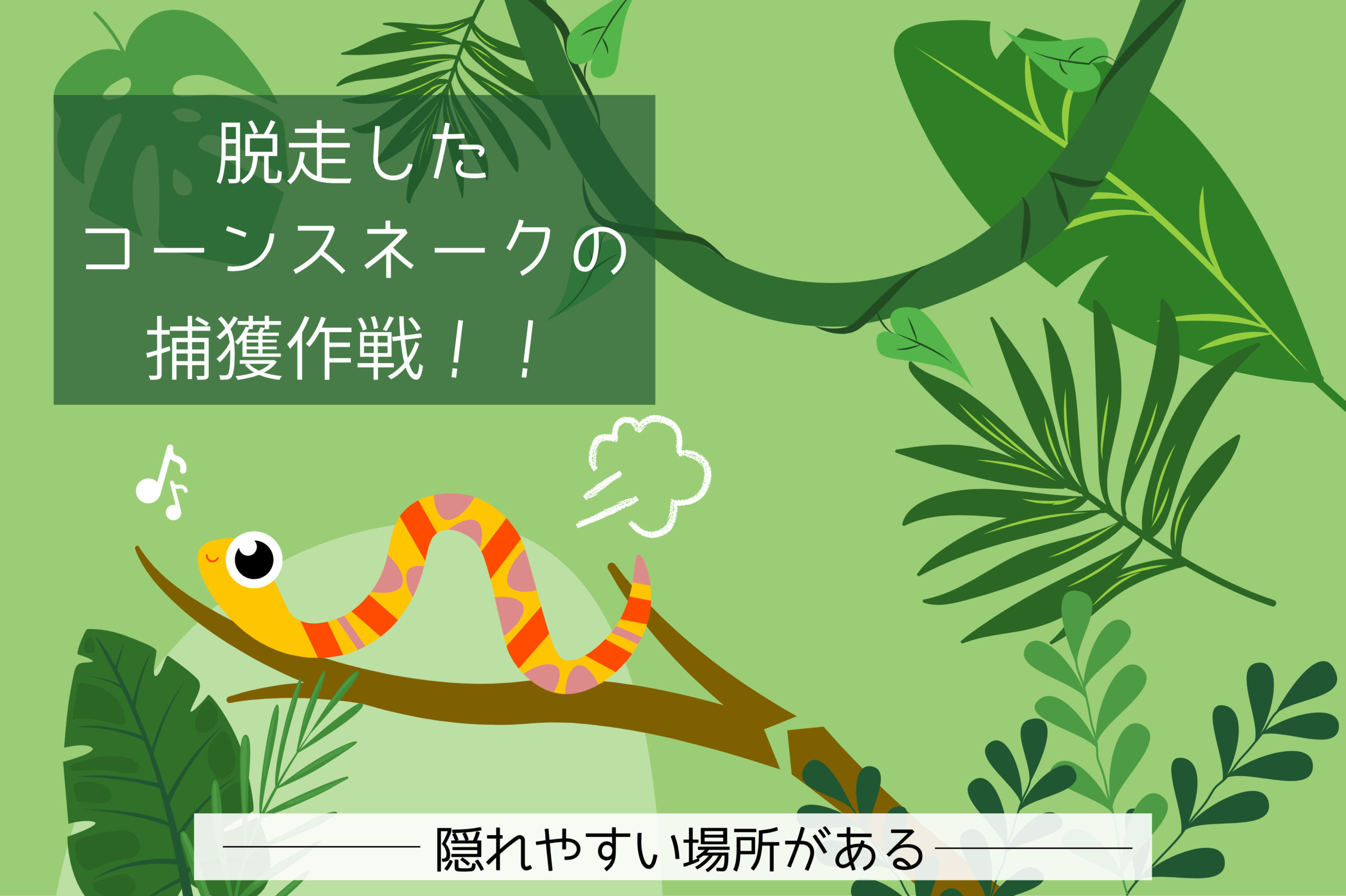 木の枝に乗るコーンスネークのイラストと「脱走したコーンスネークの捕獲作戦!!」の文字
